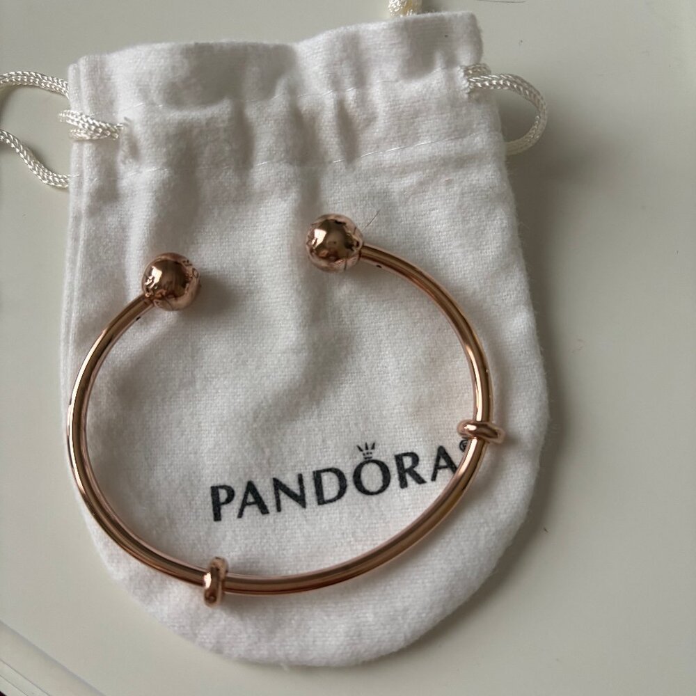 Pandora bracelet and charm